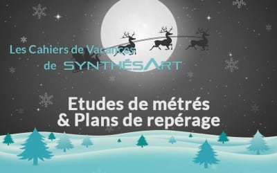 Les études de métrage chez SynthésArt