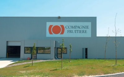 Nouveau Chantier : Mûrisserie de la Compagnie Fruitière